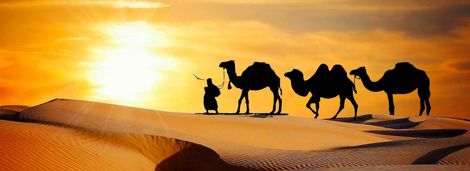 Agra Tours - Delhi Agra Jaipur Trip